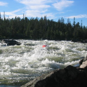 Vesterdalselven let øvet
